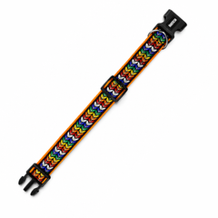 Colourful Trails Dog Collar