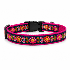 Jugnu Dog Collar