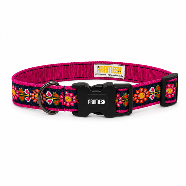 Jugnu Dog Collar