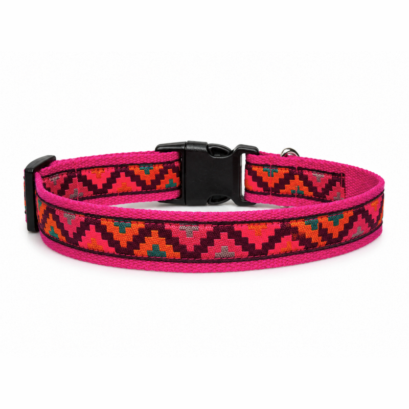 Gulaal Dog Collar