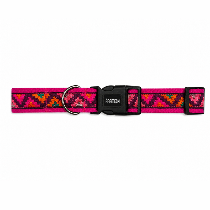 Gulaal Dog Collar