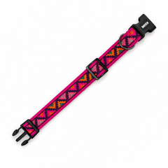 Gulaal Dog Collar