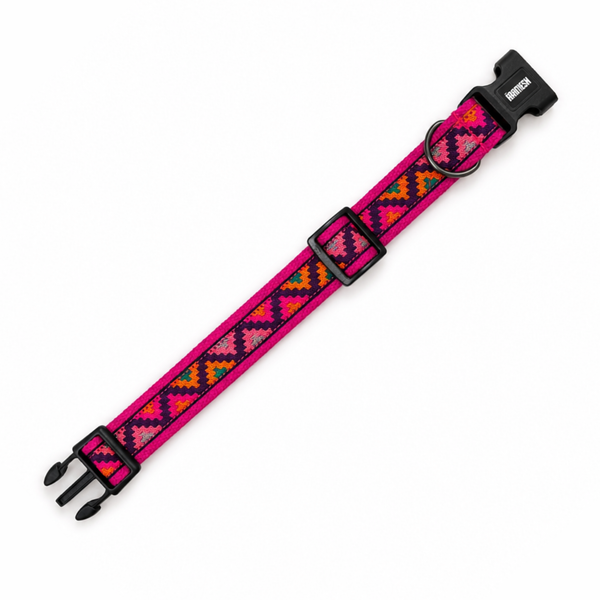 Gulaal Dog Collar