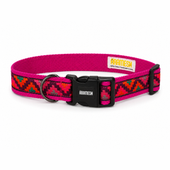 Gulaal Dog Collar