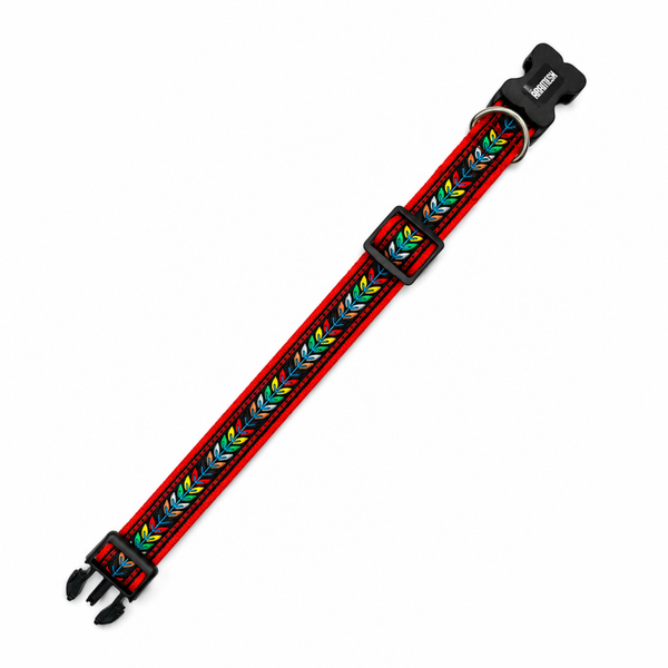 Jungle Jam Dog Collar