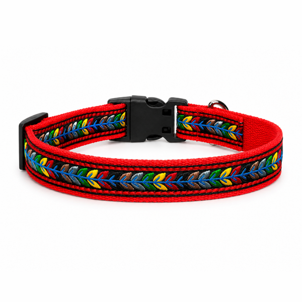 Jungle Jam Dog Collar
