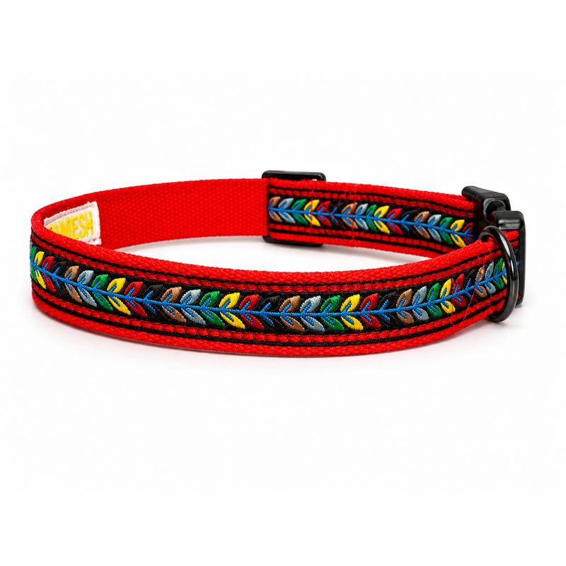 Jungle Jam Dog Collar