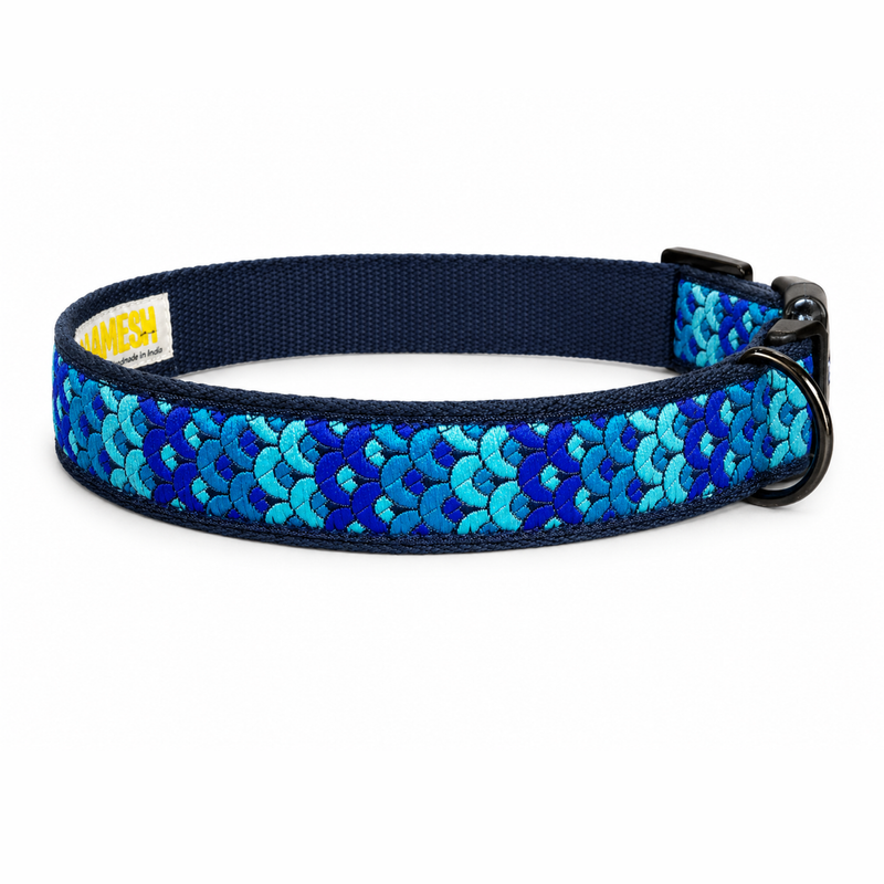 Skywave Dog Collar