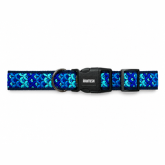 Skywave Dog Collar