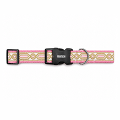 Meet Cute Dog Collar & Leash
