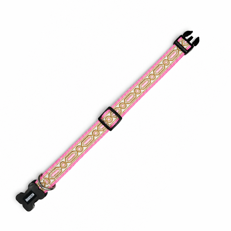 Meet Cute Dog Collar & Leash