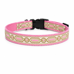 Meet Cute Dog Collar & Leash