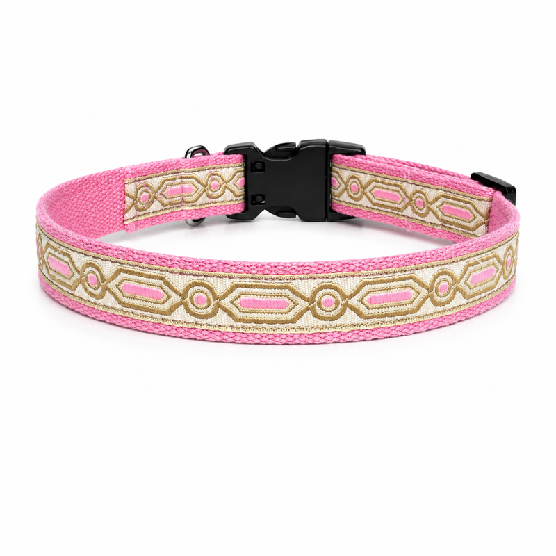 Meet Cute Dog Collar & Leash