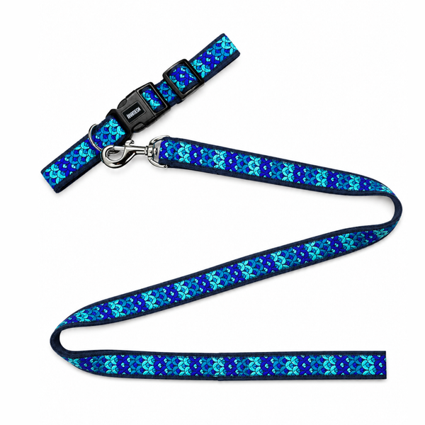 Skywave Dog Collar & Leash