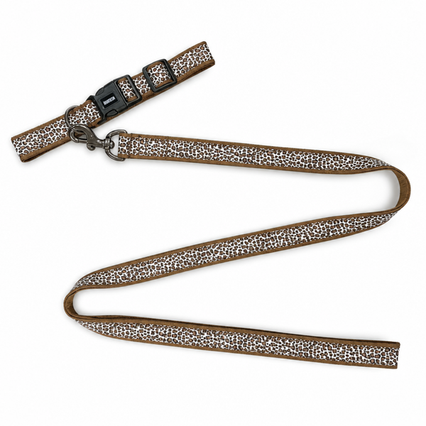 The Chase Dog Collar & Leash