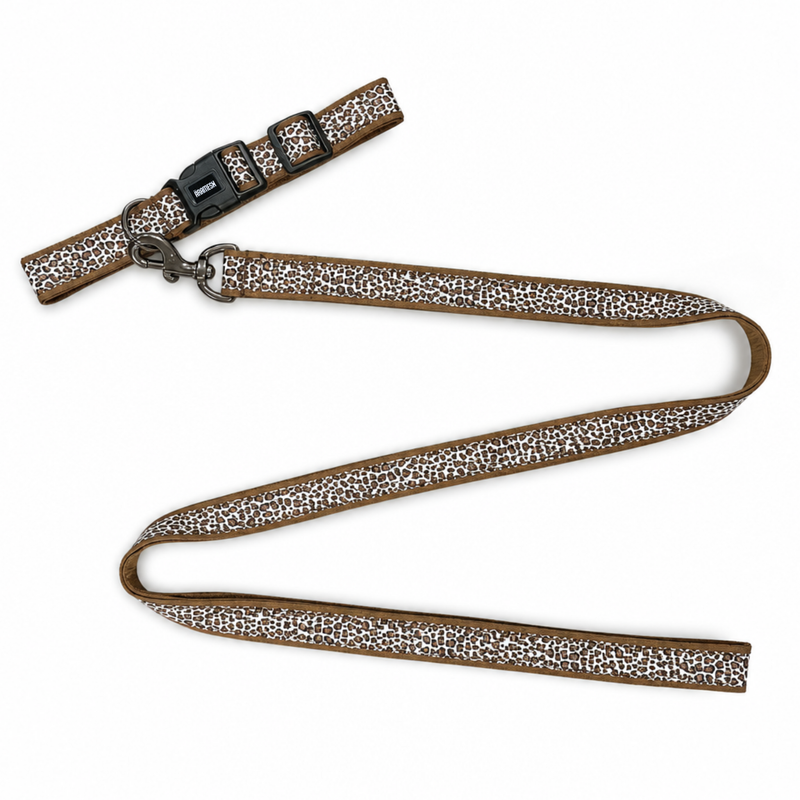 The Chase Dog Collar & Leash