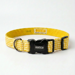 Lemonade Dog Collar