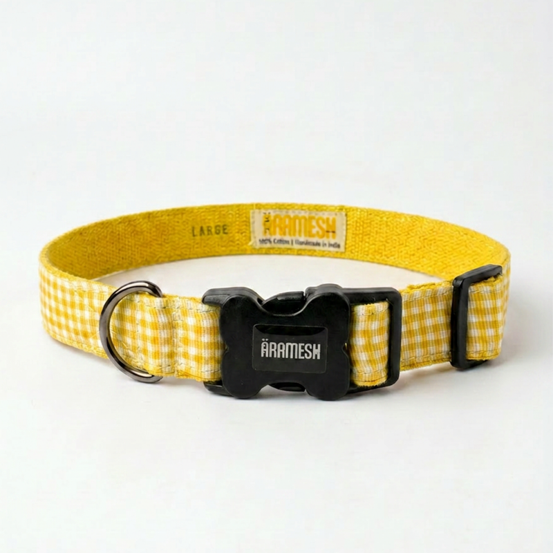 Lemonade Dog Collar