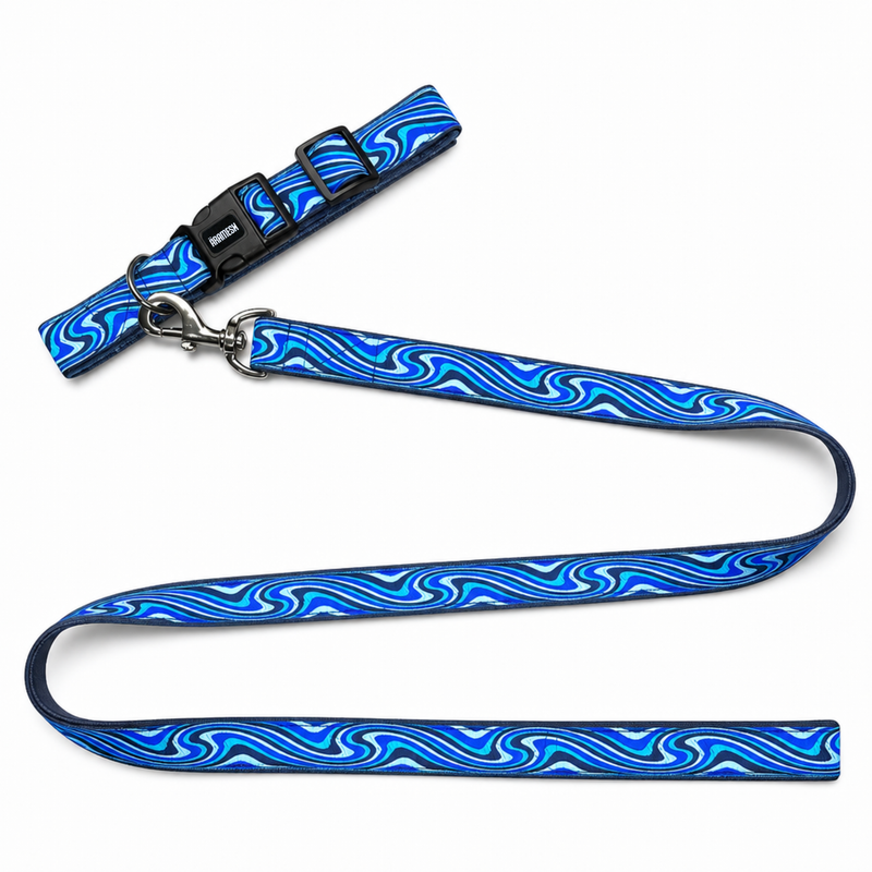 Wave Chaser Dog Collar & Leash