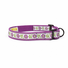 Martingale Dog Collar: Lavender Sunshine