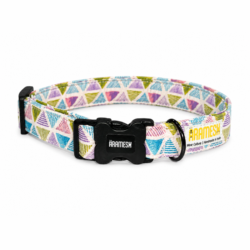 Play Date Dog Collar & Leash
