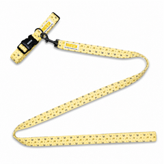 Honey Swirl Leash