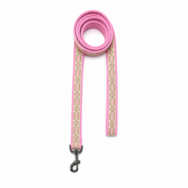 Meet Cute Dog Collar & Leash