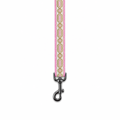 Meet Cute Dog Collar & Leash