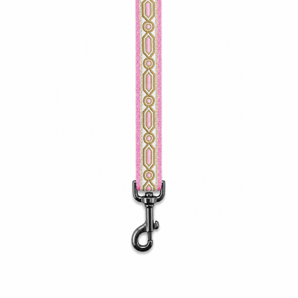 Meet Cute Dog Collar & Leash