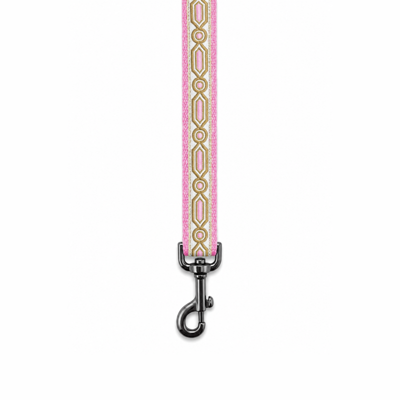 Meet Cute Dog Collar & Leash