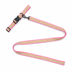 Meet Cute Dog Collar & Leash