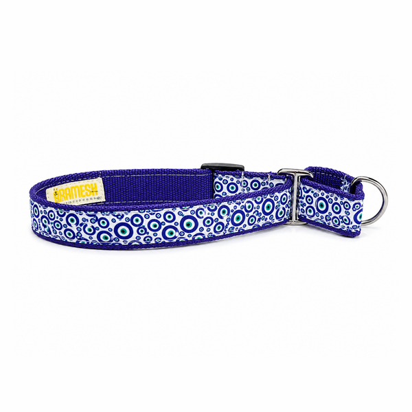 Martingale Dog Collar: Nazar Charm