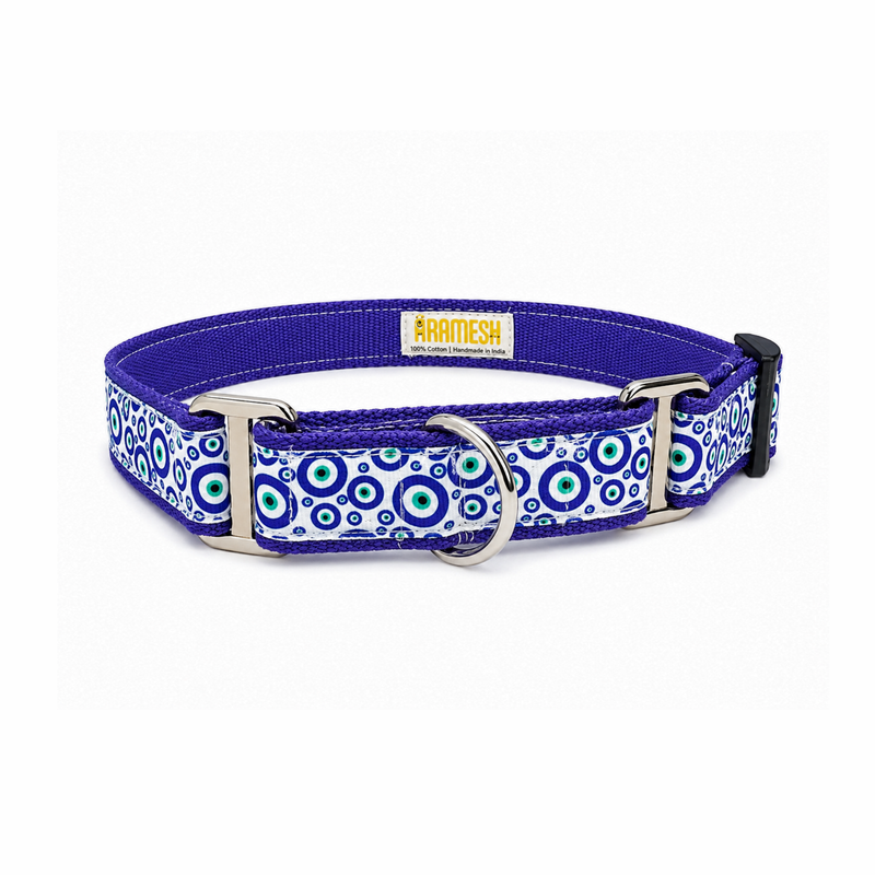 Martingale Dog Collar: Nazar Charm