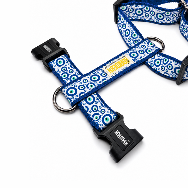 Nazar Charm Body Belt