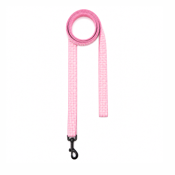 Cotton Candy Dog Collar & Leash