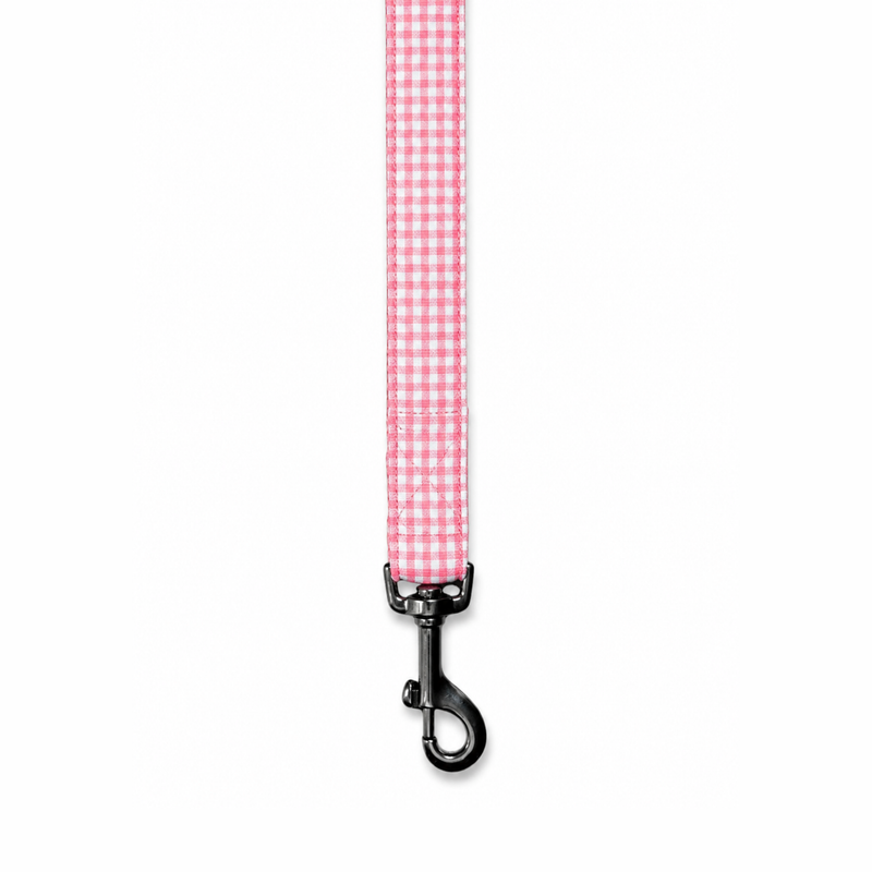 Cotton Candy Dog Leash