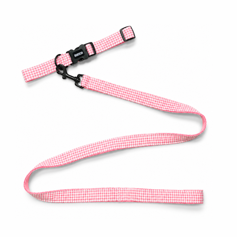 Cotton Candy Dog Leash