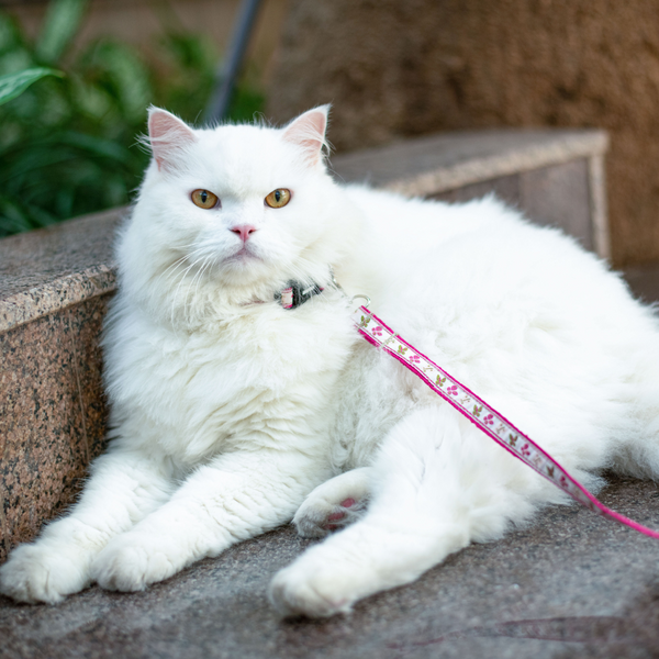 Garden Whisper Leash