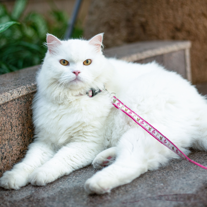 Garden Whisper Cat Collar & Leash Set