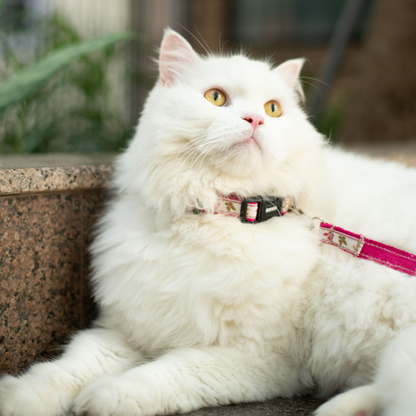 Garden Whisper Cat Collar & Leash Set