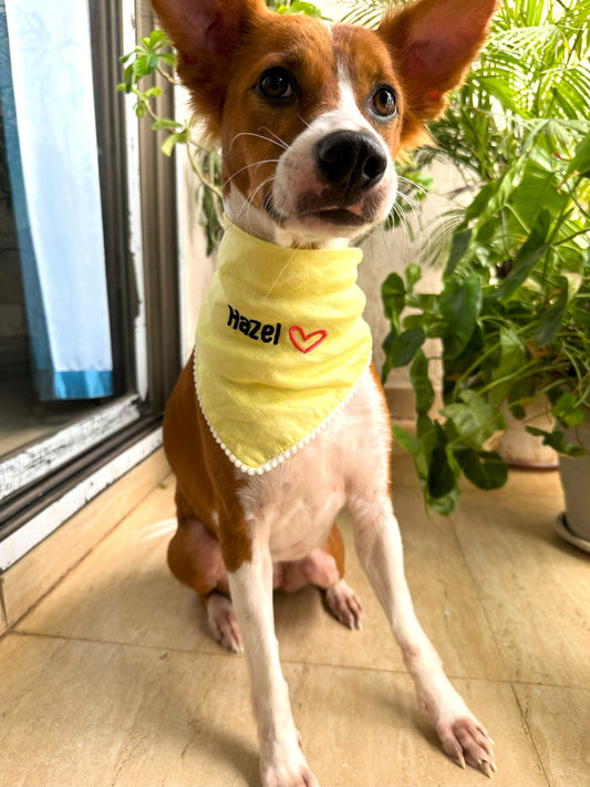 Sunshine Hemp Dog Bandana