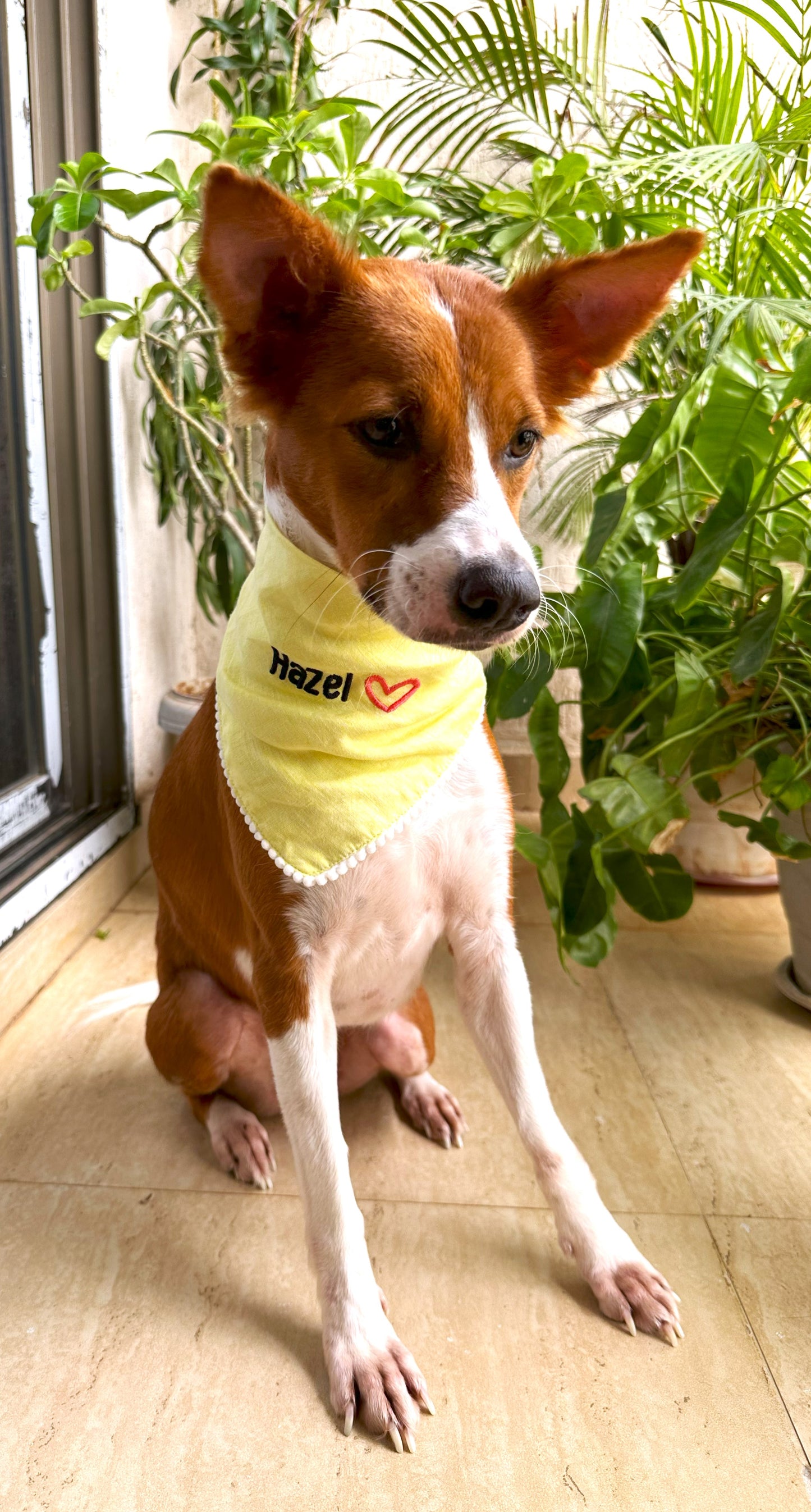 Sunshine Hemp Dog Bandana