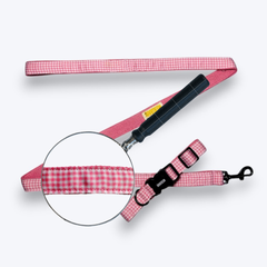 Cotton Candy Dog Collar & Leash
