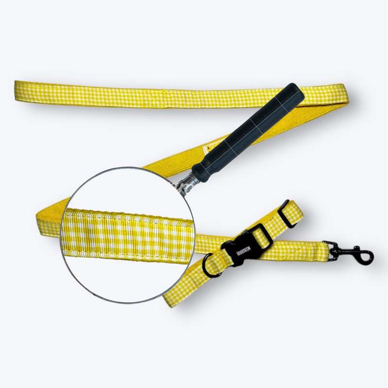 Lemonade Dog Collar & Leash