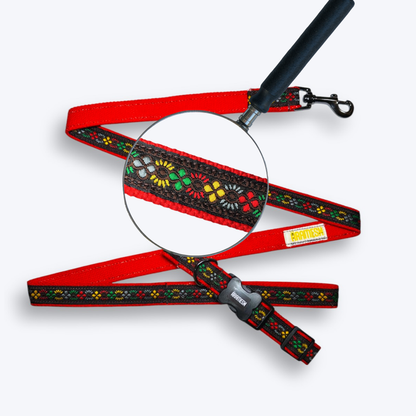 Bold Barker Dog Collar & Leash