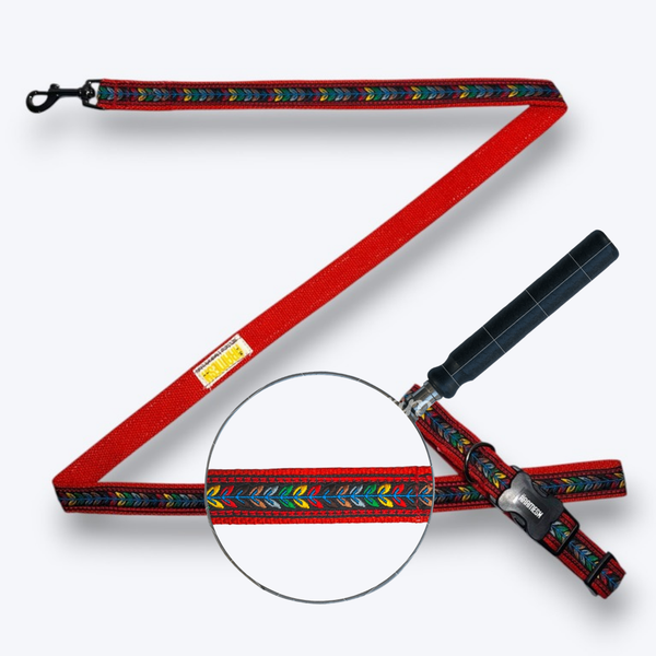 Jungle Jam Dog Collar & Leash
