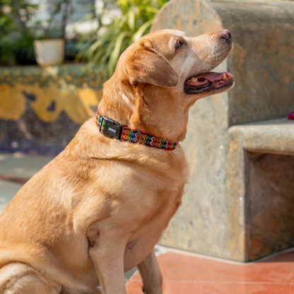 Colourful Trails Dog Collar & Leash