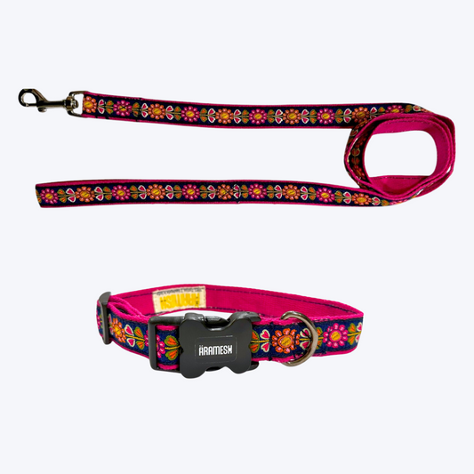 Sunflower Mist Dog Collar & Leash