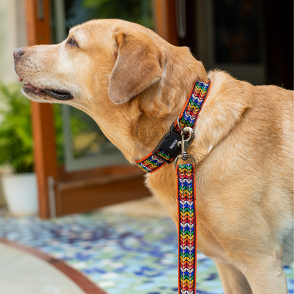 Colourful Trails Dog Collar & Leash