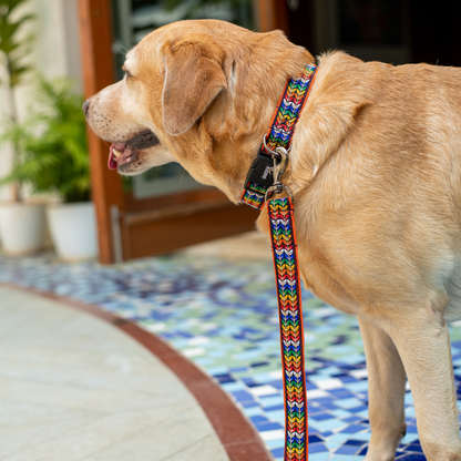 Colourful Trails Dog Leash